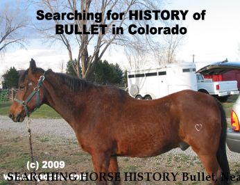SEARCHING HORSE HISTORY Bullet, Near Boulder, CO, 80301